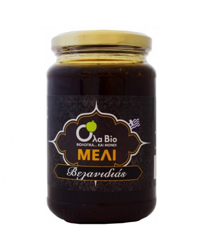 ΜΕΛΙ ΒΕΛΑΝΙΔΙΑΣ ΒΙΟ 450gr